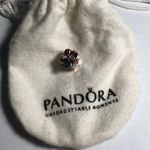 Pandora Present Charm